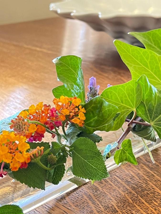 Villa Tranberg Suites Ferreiras Eksteriør billede